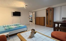 Sions Grosse Ferienwohnung Ferienwohnung Mit 3 Schlafzimmer, 2 Km Bis Zum Europapark Rust